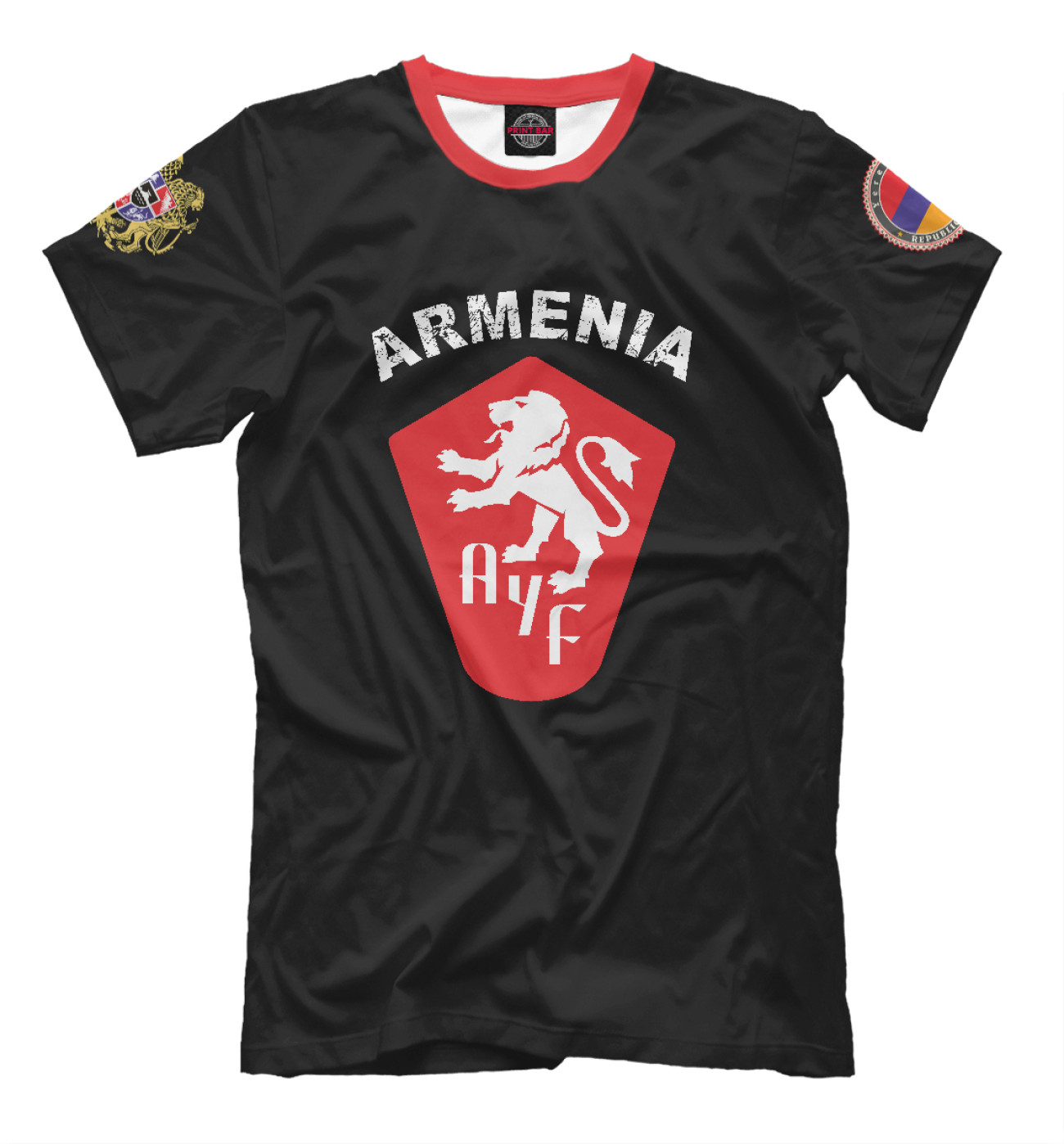 Мужская Футболка Armenia, артикул: AMN-329535-fut-2